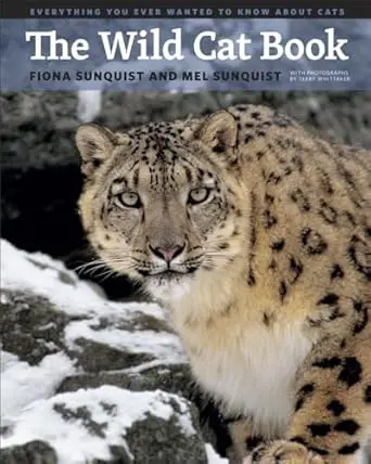 Wild Cat! Wild Cat!
